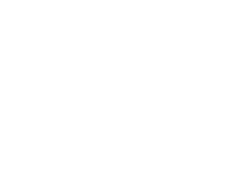 Logo TSN