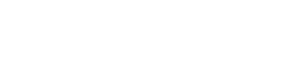 CatDV