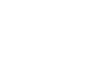 Litepanels